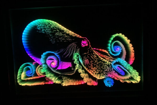 Octopus LED Infinity Mirror Wall Art