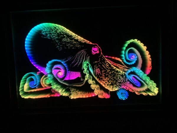 Octopus LED Infinity Mirror Wall Art - Image 3